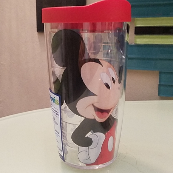 disney tervis